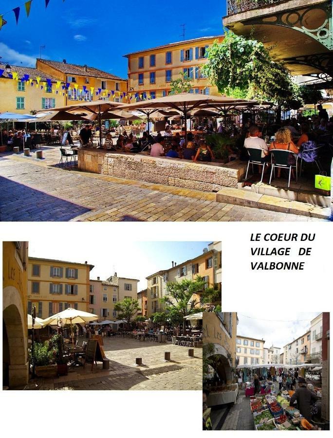 Les Chenes Verts Valbonne Exterior foto